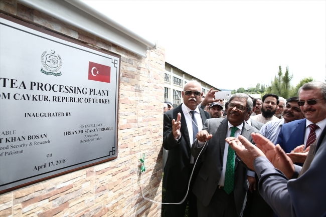 Çaykur, Pakistan'da çay fabrikası açtı